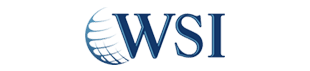 Logo WSI